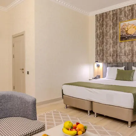 Aycicegi Comfort Edirne